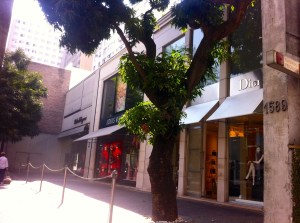 Sao Paulo's unimpressive 'Madison Avenue'